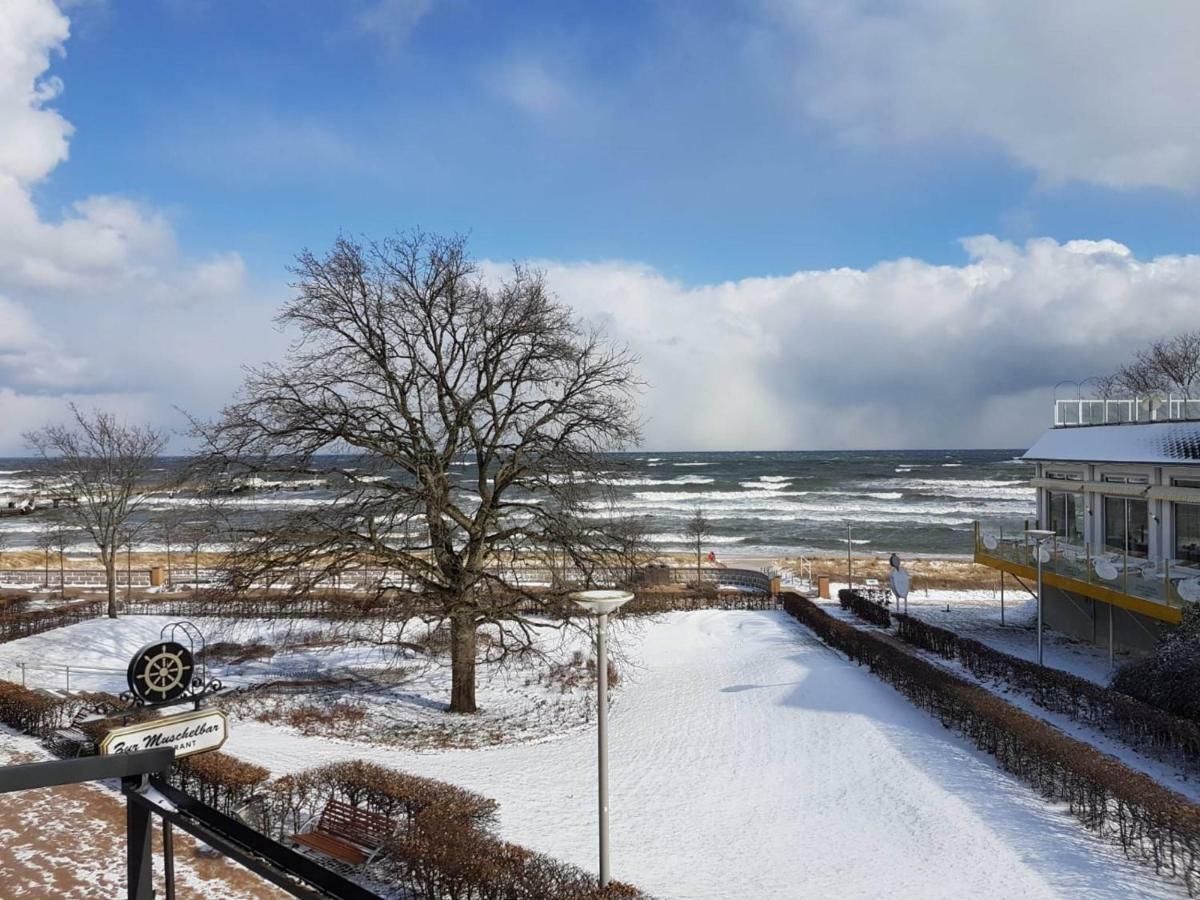 Villa Mia Nr 1 Mit Terrasse Eg 1 Raum Wohnung Goehren  Luaran gambar