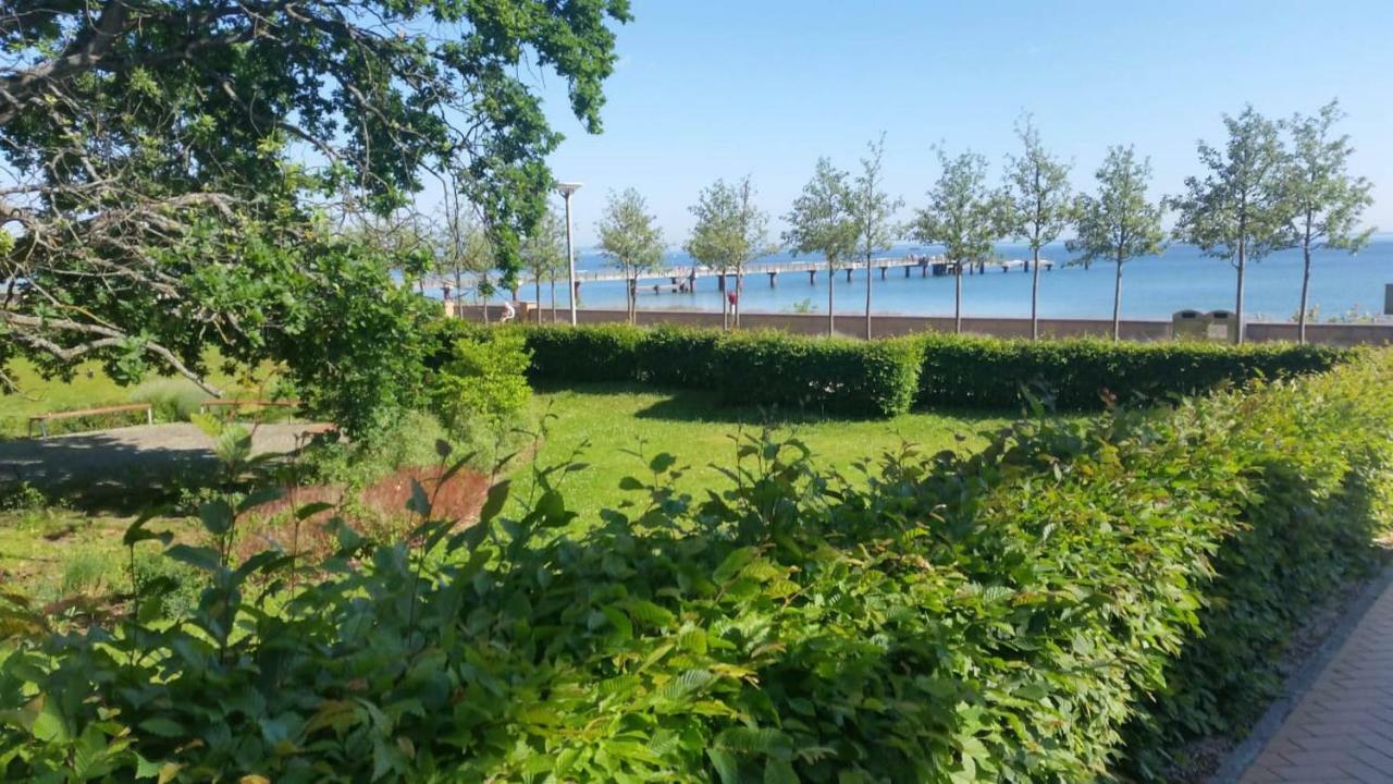 Villa Mia Nr 1 Mit Terrasse Eg 1 Raum Wohnung Goehren  Luaran gambar
